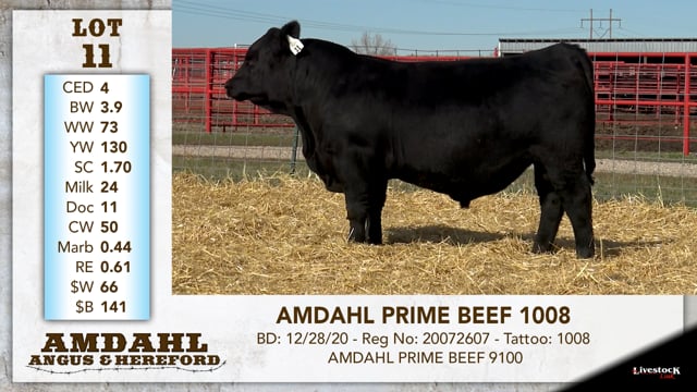 Lot #11 - AMDAHL PRIME BEEF 1008