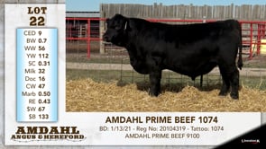 Lot #22 - AMDAHL PRIME BEEF 1074