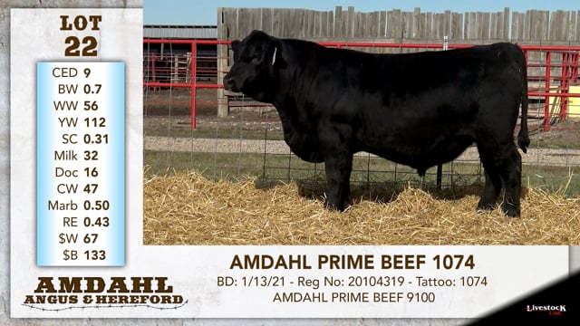 Lot #22 - AMDAHL PRIME BEEF 1074