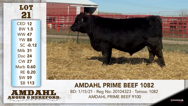 Lot #21 - AMDAHL PRIME BEEF 1082