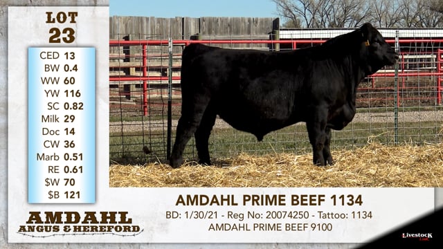 Lot #23 - AMDAHL PRIME BEEF 1134