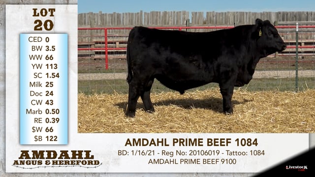 Lot #20 - AMDAHL PRIME BEEF 1084