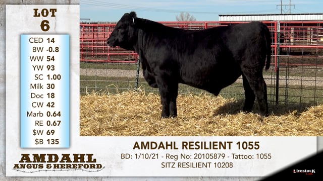 Lot #6 - AMDAHL RESILIENT 1055