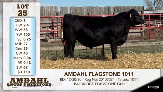 Lot #25 - AMDAHL FLAGSTONE 1011
