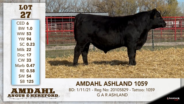 Lot #27 - AMDAHL ASHLAND 1059