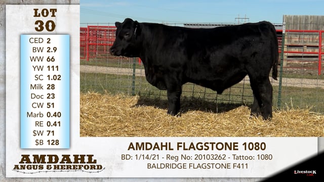Lot #30 - AMDAHL FLAGSTONE 1080