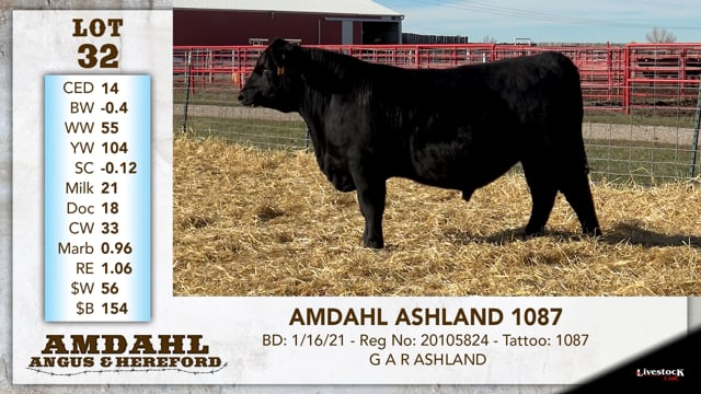 Lot #32 - AMDAHL ASHLAND 1087