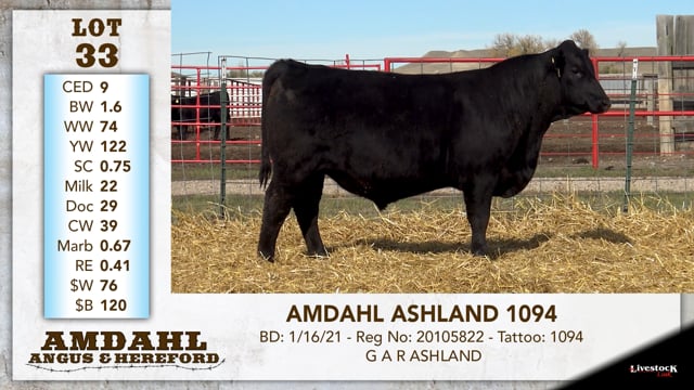 Lot #33 - AMDAHL ASHLAND 1094