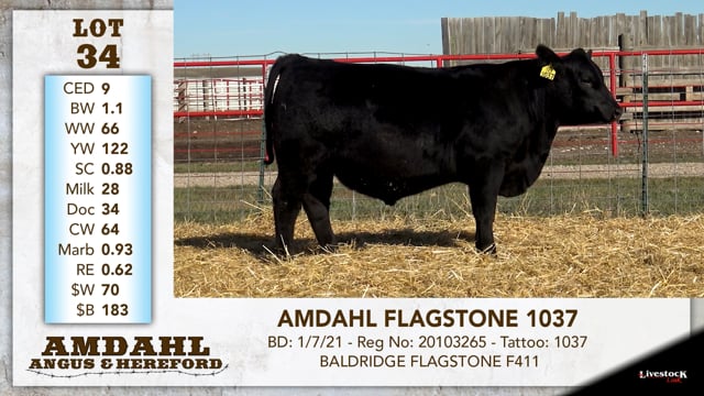 Lot #34 - AMDAHL FLAGSTONE 1037
