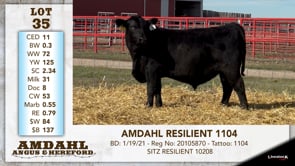 Lot #35 - AMDAHL RESILIENT 1104
