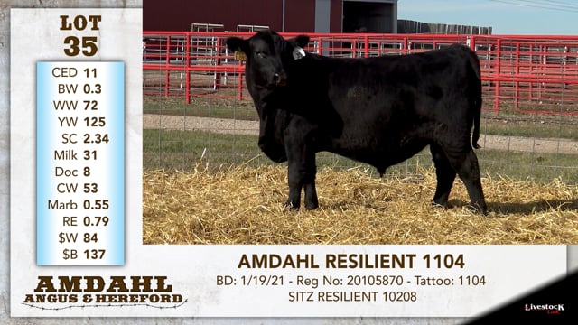 Lot #35 - AMDAHL RESILIENT 1104
