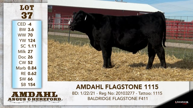 Lot #37 - AMDAHL FLAGSTONE 1115