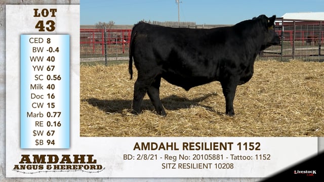 Lot #43 - AMDAHL RESILIENT 1152