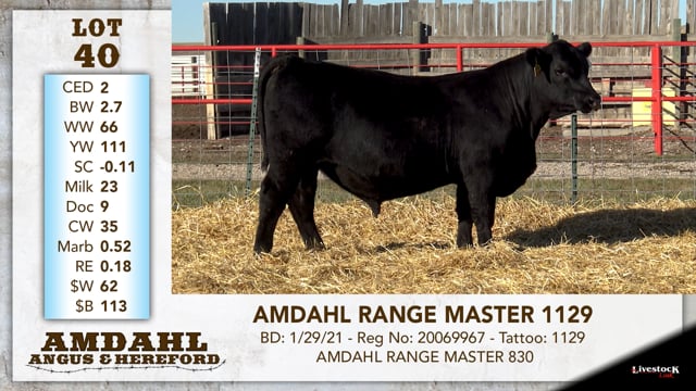 Lot #40 - AMDAHL RANGE MASTER 1129