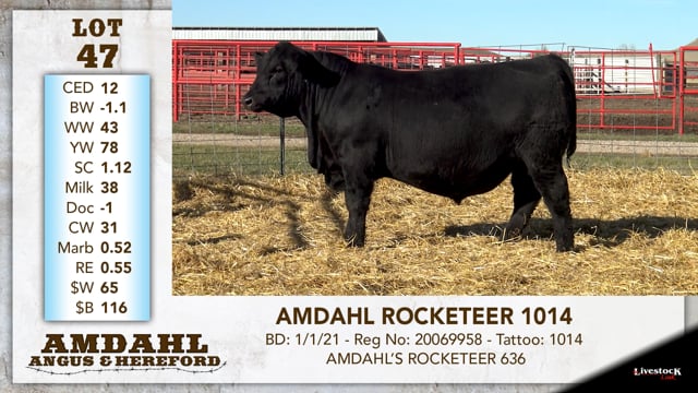Lot #47 - AMDAHL ROCKETEEER 1014