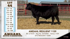 Lot #44 - AMDAHL RESILIENT 1159 ***OUT OF SALE***