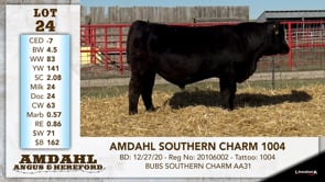 Lot #24 - AMDAHL SOUTHERN CHARM 1004