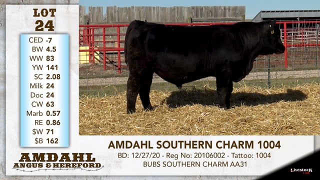 Lot #24 - AMDAHL SOUTHERN CHARM 1004