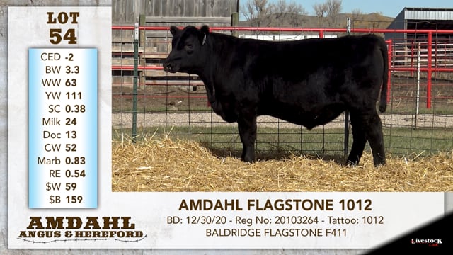 Lot #54 - AMDAHL FLAGSTONE 1012