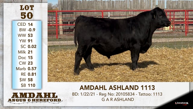 Lot #50 - AMDAHL ASHLAND 1113