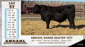 Lot #57 - AMDAHL RANGE MASTER 1077