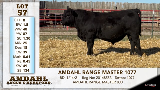 Lot #57 - AMDAHL RANGE MASTER 1077