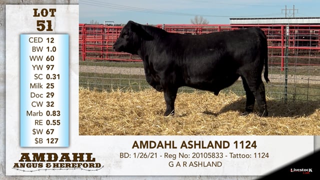 Lot #51 - AMDAHL ASHLAND 1124