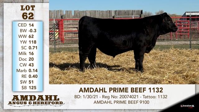 Lot #62 - AMDAHL PRIME BEEF 1132