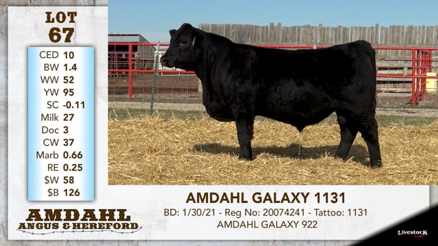 Lot #67 - AMDAHL GALAXY 1131