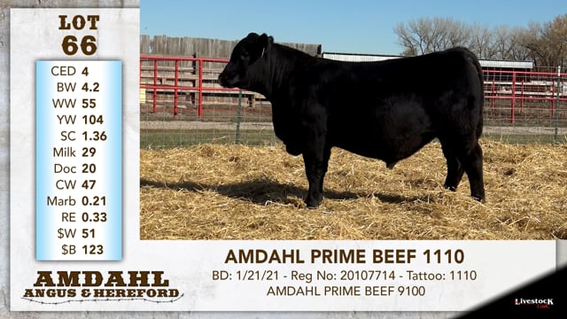 Lot #66 - AMDAHL PRIME BEEF 1110