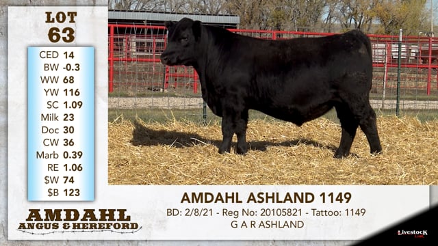 Lot #63 - AMDAHL ASHLAND 1149