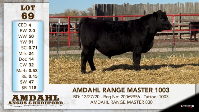 Lot #68 - AMDAHL RANGE MASTER 1151