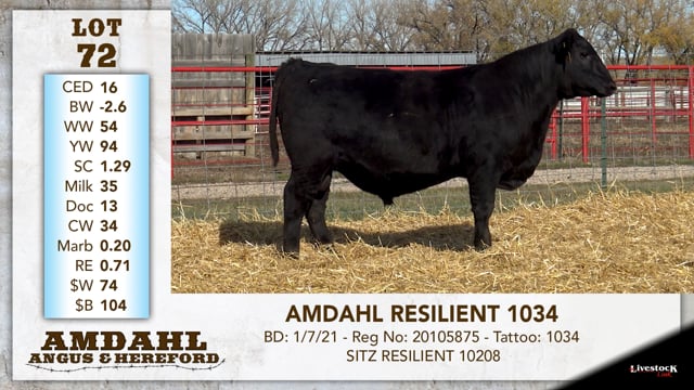 Lot #72 - AMDAHL RESILIENT 1034