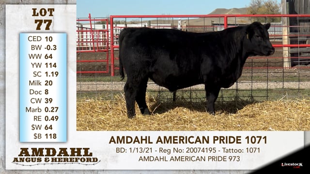 Lot #77 - AMDAHL AMERICAN PRIDE 1071