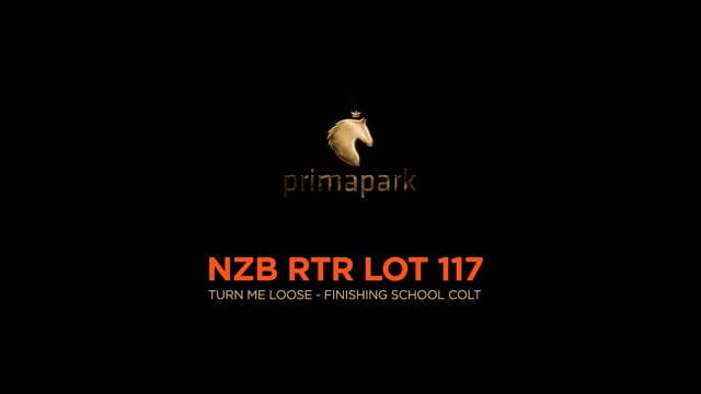 Lot 117