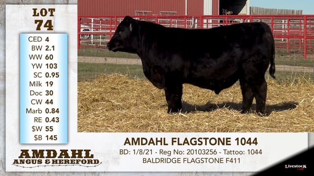 Lot #74 - AMDAHL FLAGSTONE 1044 ***OUT OF SALE***