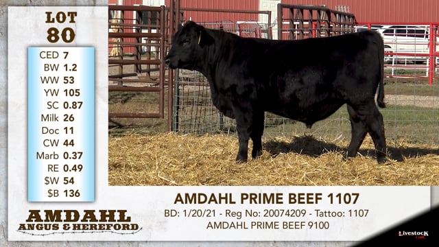 Lot #80 - AMDAHL PRIME BEEF 1107