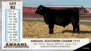 Lot #81 - AMDAHL SOUTHERN CHARM 1111