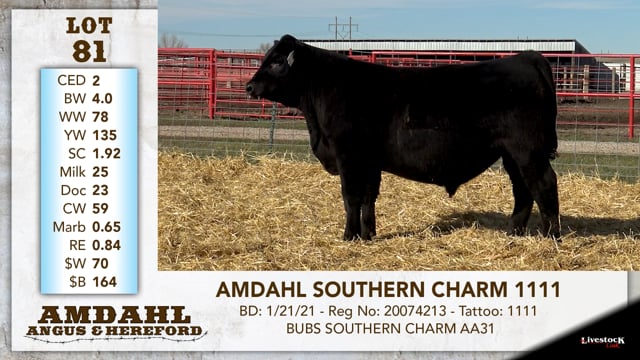 Lot #81 - AMDAHL SOUTHERN CHARM 1111