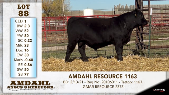 Lot #88 - AMDAHL RESOURCE 1163
