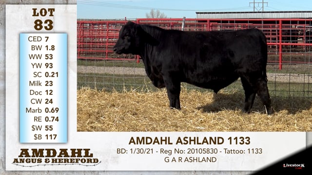 Lot #83 - AMDAHL ASHLAND 1133