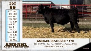Lot #89 - AMDAHL RESOURCE 1170