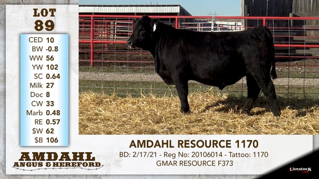 Lot #89 - AMDAHL RESOURCE 1170