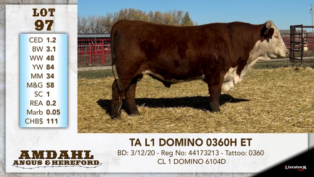 Lot #97 - TA L1 DOMINO 0360H ET