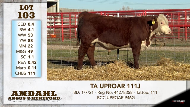 Lot #103 - TA UPROAR 111J