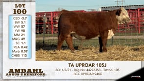 Lot #100 - TA UPROAR 105J