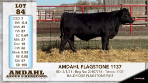 Lot #84 - AMDAHL FLAGSTONE 1137