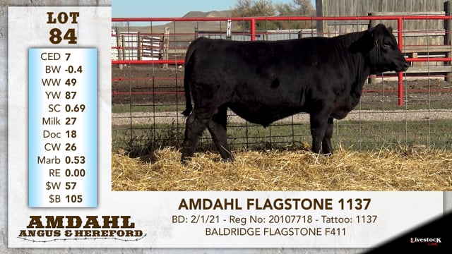 Lot #84 - AMDAHL FLAGSTONE 1137