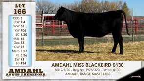 Lot #166 - AMDAHL MISS BLACKBIRD 0130