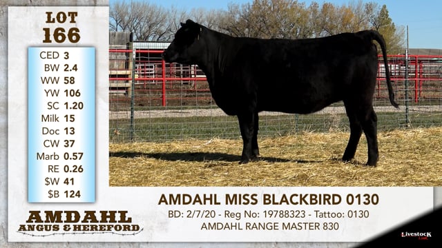 Lot #166 - AMDAHL MISS BLACKBIRD 0130